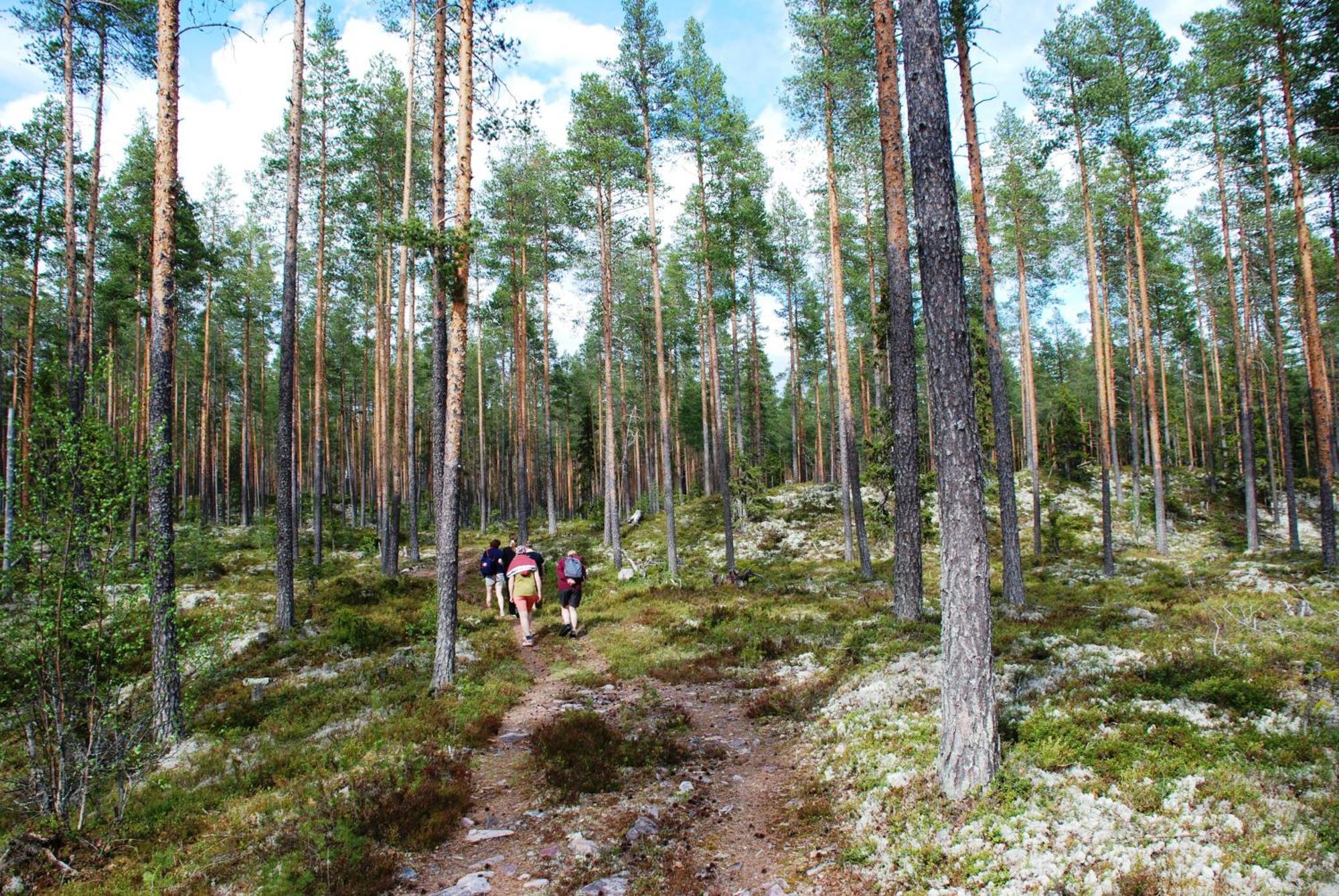 16 - Fulufjellets Nasjonalparker - Natur-, Dyre- Og Fugleopplevelser Ljordal Экстерьер фото