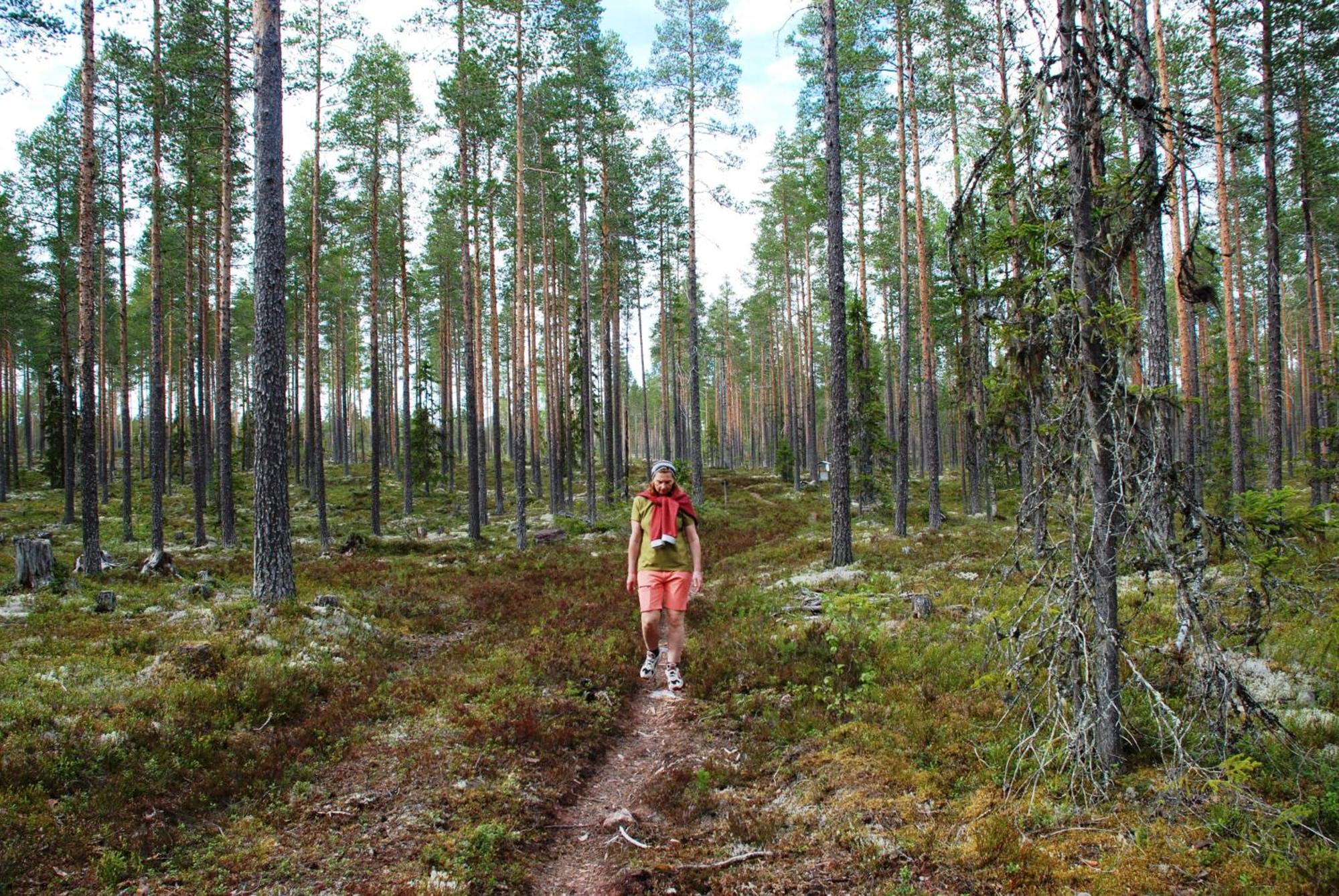16 - Fulufjellets Nasjonalparker - Natur-, Dyre- Og Fugleopplevelser Ljordal Экстерьер фото