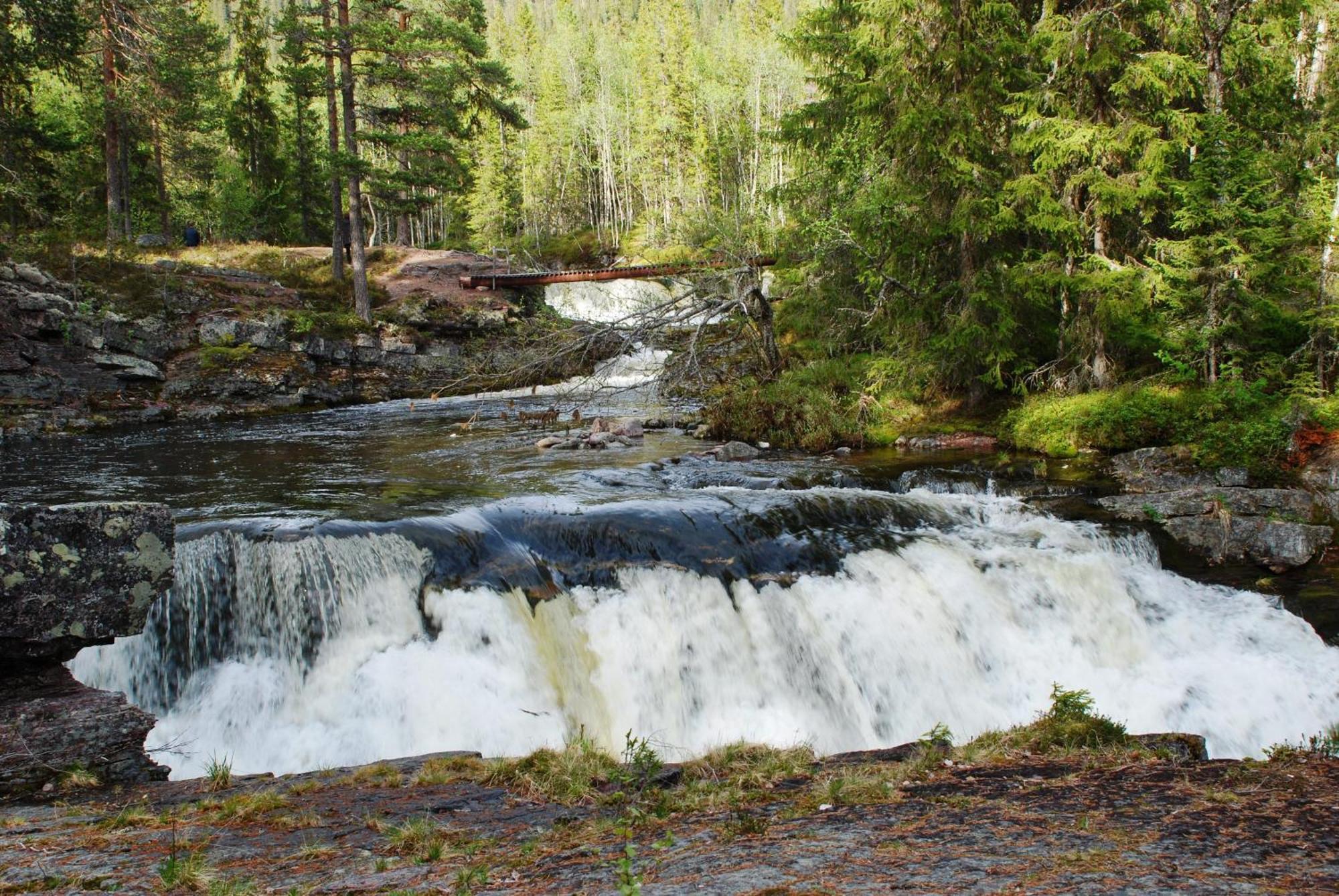 16 - Fulufjellets Nasjonalparker - Natur-, Dyre- Og Fugleopplevelser Ljordal Экстерьер фото